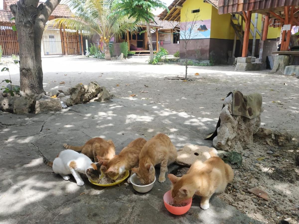 Harry'S Ocean House Watukarung Homestay Kalak Dış mekan fotoğraf